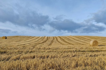 Tennessee's Governor Bill Lee Signs Farmland Preservation Act to Safeguard Agricultural Heritage