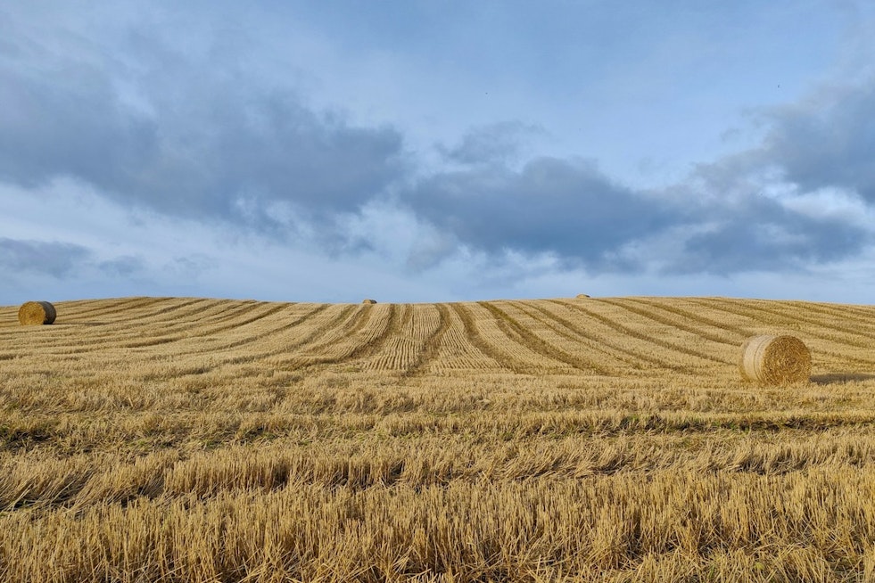 Tennessee's Governor Bill Lee Signs Farmland Preservation Act to Safeguard Agricultural Heritage