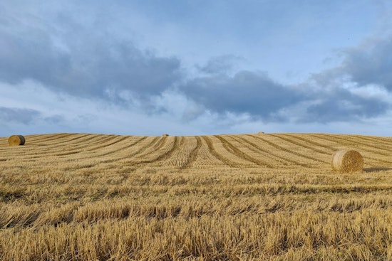 Tennessee's Governor Bill Lee Signs Farmland Preservation Act to Safeguard Agricultural Heritage