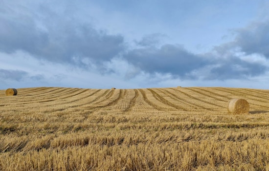 Tennessee's Governor Bill Lee Signs Farmland Preservation Act to Safeguard Agricultural Heritage