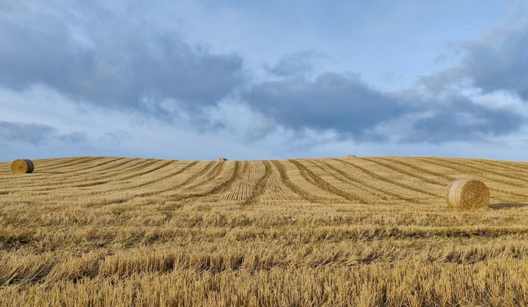 Tennessee's Governor Bill Lee Signs Farmland Preservation Act to Safeguard Agricultural Heritage