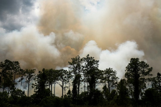 Travis County Launches F.L.A.M.E. Initiative to Bolster Wildfire Preparedness and Prevention