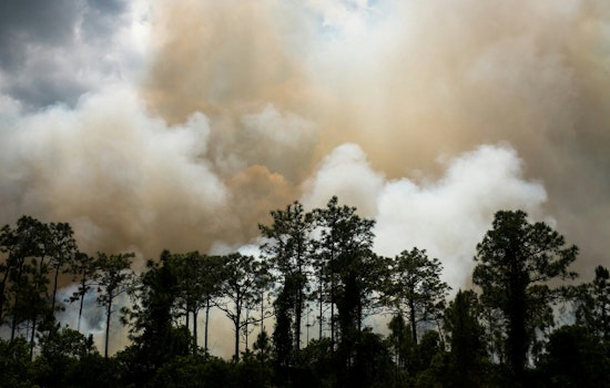 Travis County Launches F.L.A.M.E. Initiative to Bolster Wildfire Preparedness and Prevention