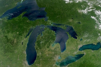 Trump Administration Commits Funding for Great Lakes Carp Barrier Following Standoff with Illinois Governor