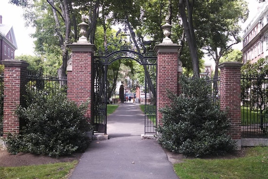 Trump Takes Aim at Harvard, Federal Contracts Worth $100 Million on the Chopping Block Amid Allegations of Discrimination