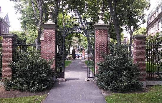 Trump Takes Aim at Harvard, Federal Contracts Worth $100 Million on the Chopping Block Amid Allegations of Discrimination