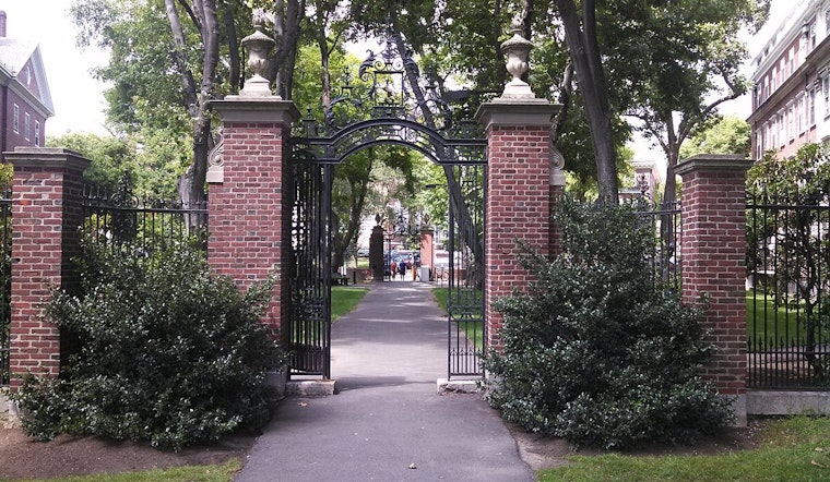 Trump Takes Aim at Harvard, Federal Contracts Worth $100 Million on the Chopping Block Amid Allegations of Discrimination