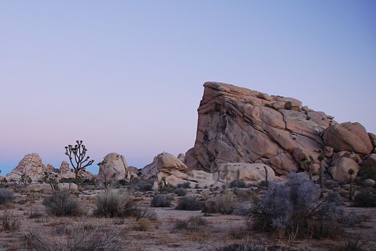 Twentynine Palms Man Charged with Assault Following Shooting Incident Near Joshua Tree National Park