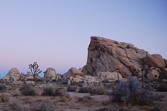 Twentynine Palms Man Charged with Assault Following Shooting Incident Near Joshua Tree National Park