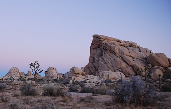 Twentynine Palms Man Charged with Assault Following Shooting Incident Near Joshua Tree National Park