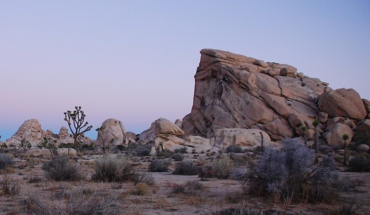 Twentynine Palms Man Charged with Assault Following Shooting Incident Near Joshua Tree National Park