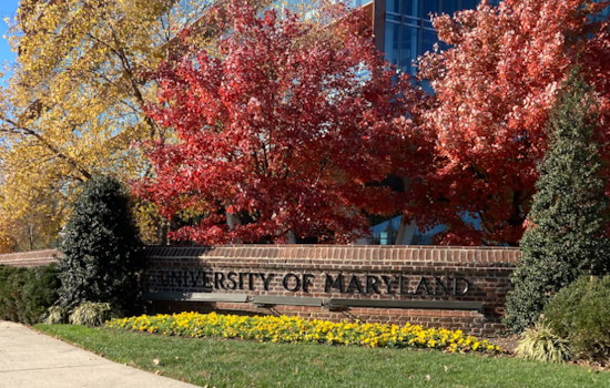 University of Maryland Reimagines Greek Life in Wake of Hazing Allegations