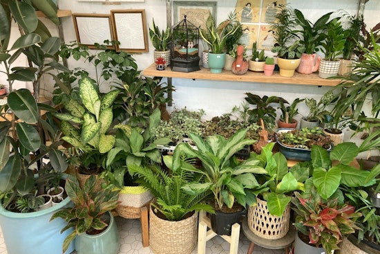 University of Minnesota Extension Master Gardeners to Host Annual Spring Plant Sales in Buffalo and Hutchinson