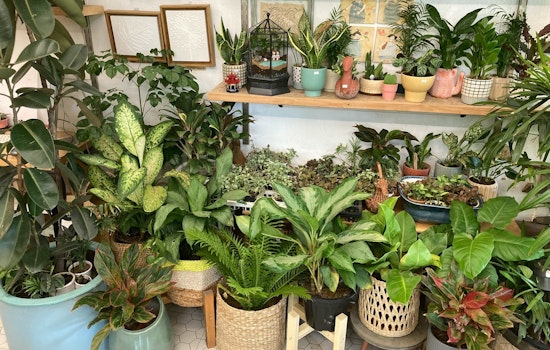 University of Minnesota Extension Master Gardeners to Host Annual Spring Plant Sales in Buffalo and Hutchinson