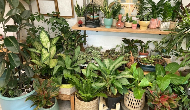 University of Minnesota Extension Master Gardeners to Host Annual Spring Plant Sales in Buffalo and Hutchinson