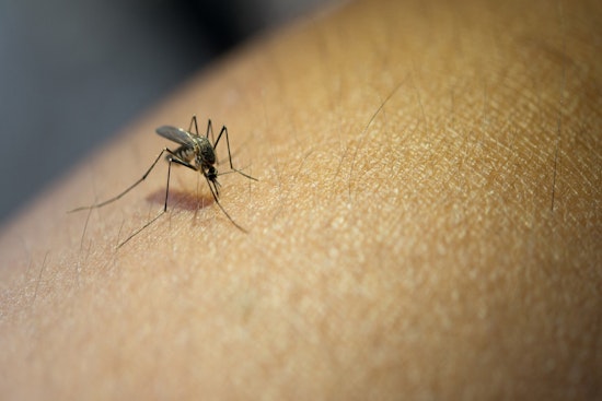 Upper Arlington and Franklin County Health Officials Launch Annual Mosquito Management Efforts
