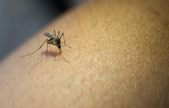 Upper Arlington and Franklin County Health Officials Launch Annual Mosquito Management Efforts