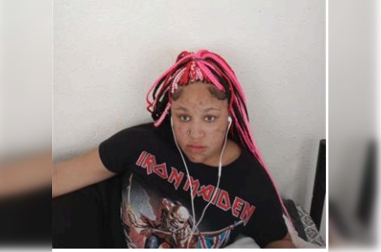 Urgent Search for Missing Teen Jamila Young in Chicago; Police Solicit Public's Aid