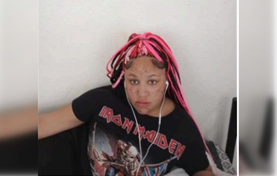 Urgent Search for Missing Teen Jamila Young in Chicago; Police Solicit Public's Aid