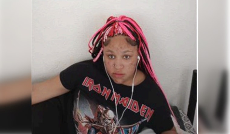 Urgent Search for Missing Teen Jamila Young in Chicago; Police Solicit Public's Aid