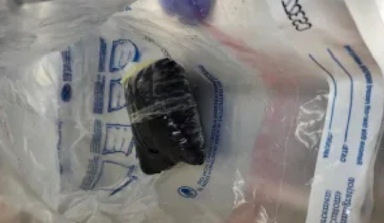 U.S. Citizen Arrested for Smuggling Fentanyl Inside Her Body at El Paso Border Crossing
