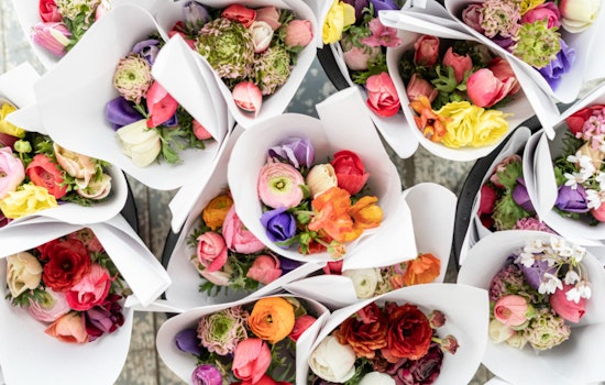 U.S. Customs Steps Up Flower Inspections to Shield Agriculture Ahead of Mother’s Day