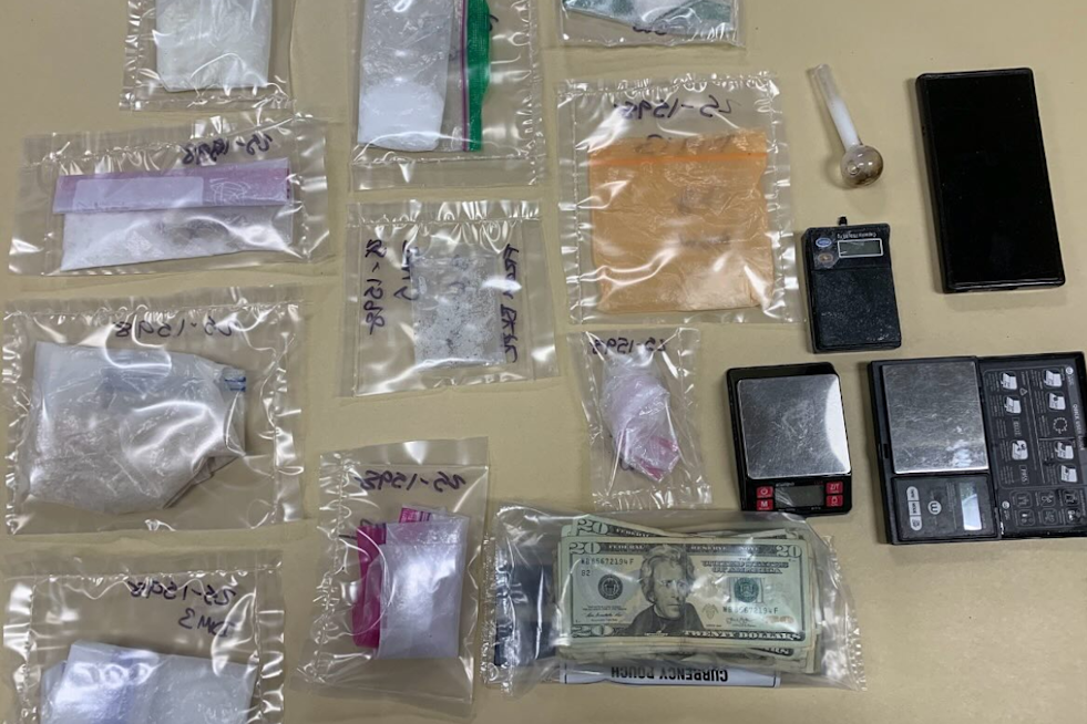Vallejo Drug Bust Uncovers Exotic Animals: Suspect Charged as Spider Monkey Finds Refuge at Oakland Zoo