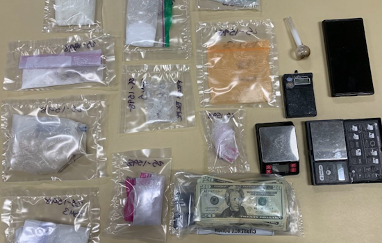 Vallejo Drug Bust Uncovers Exotic Animals: Suspect Charged as Spider Monkey Finds Refuge at Oakland Zoo