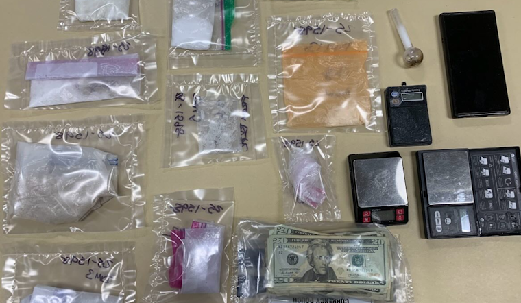 Vallejo Drug Bust Uncovers Exotic Animals: Suspect Charged as Spider Monkey Finds Refuge at Oakland Zoo