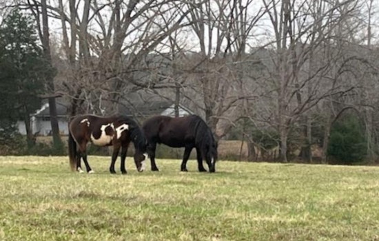 Wake County and Triangle Land Conservancy Secure Future of 40-Acre Walton Farm with Conservation Easement