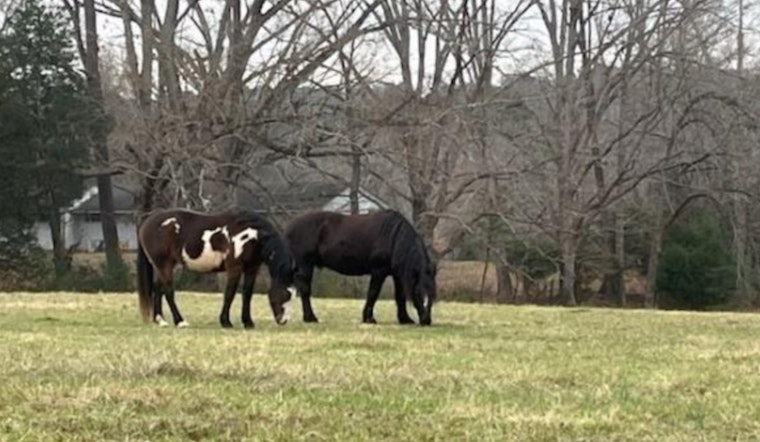 Wake County and Triangle Land Conservancy Secure Future of 40-Acre Walton Farm with Conservation Easement