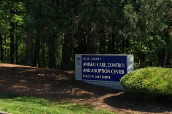 Wake County Animal Center Implements Age Restriction on Adoption Floor to Foster Calmer Environment