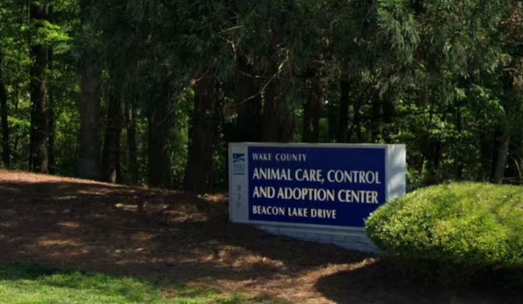 Wake County Animal Center Implements Age Restriction on Adoption Floor to Foster Calmer Environment