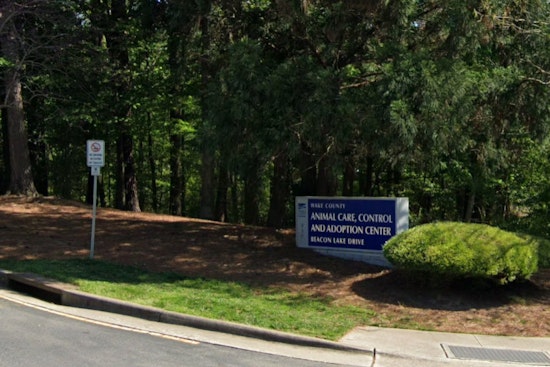 Wake County Animal Center Urges Community Action as They Reach Near Capacity, Adoption Fees Waived for Extended-Stay Pets