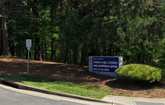 Wake County Animal Center Urges Community Action as They Reach Near Capacity, Adoption Fees Waived for Extended-Stay Pets
