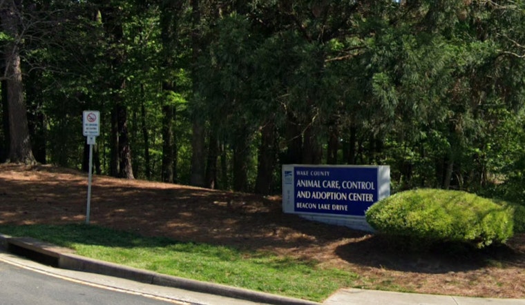 Wake County Animal Center Urges Community Action as They Reach Near Capacity, Adoption Fees Waived for Extended-Stay Pets