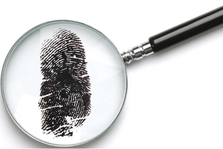 Wake County Genealogical Society to Host 'Find Your Family History' Event in Raleigh