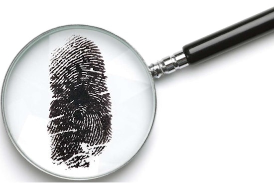 Wake County Genealogical Society to Host 'Find Your Family History' Event in Raleigh