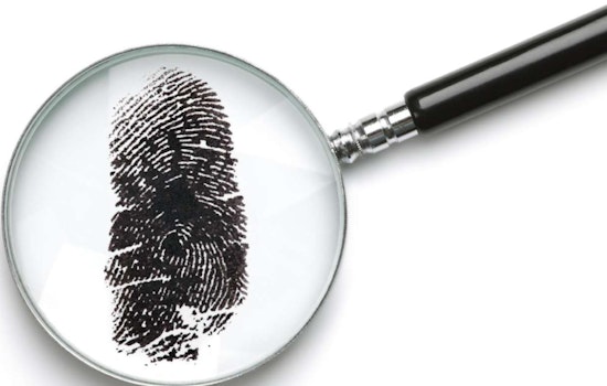 Wake County Genealogical Society to Host 'Find Your Family History' Event in Raleigh