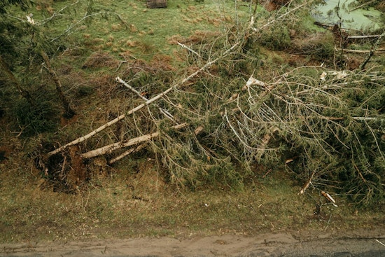 West Michigan's Recovery Underway, Kalamazoo and Allegan Counties Declare States of Emergency After Severe Storms