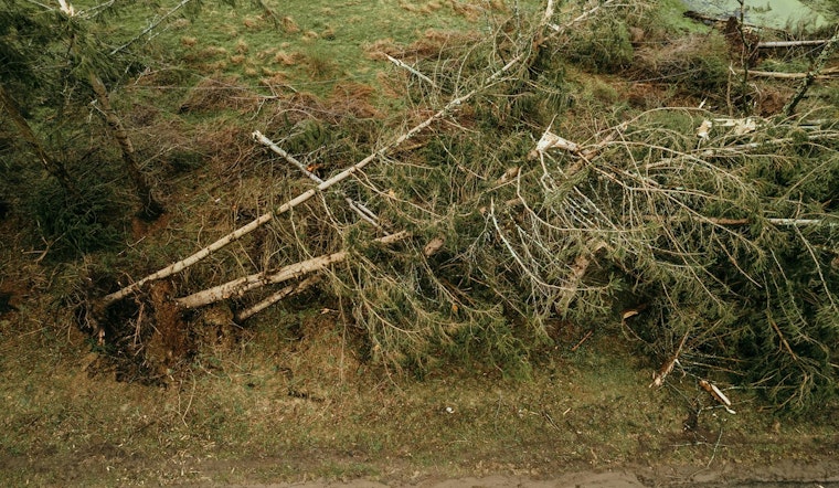 West Michigan's Recovery Underway, Kalamazoo and Allegan Counties Declare States of Emergency After Severe Storms