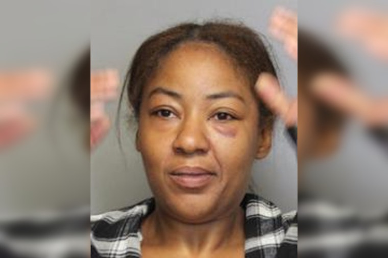 Wilmington Woman Charged With Aggravated Menacing After Confrontation With Police During Shooting Inquiry
