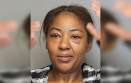 Wilmington Woman Charged With Aggravated Menacing After Confrontation With Police During Shooting Inquiry