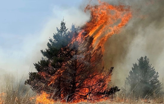 Wisconsin Ignites Red Flag Warning Over Wildfire Concerns in 21 Northern Counties Amid Critical Weather Conditions