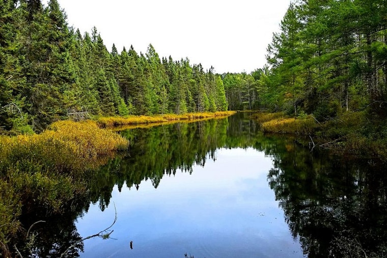 Wisconsin's Northern Highland-American Legion State Forest Celebrates Centennial with Public Festivities