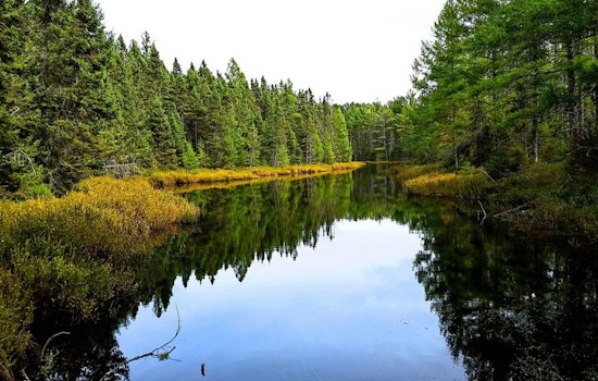 Wisconsin's Northern Highland-American Legion State Forest Celebrates Centennial with Public Festivities