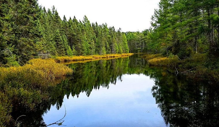 Wisconsin's Northern Highland-American Legion State Forest Celebrates Centennial with Public Festivities