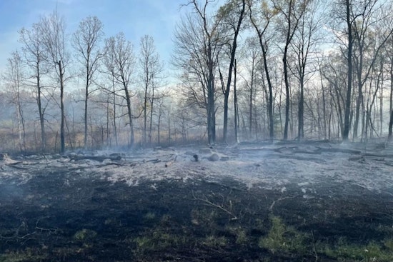 Wisconsin's Warthog Fire Contained as Residents Return and Juneau County Crews Quell 80-Acre Blaze
