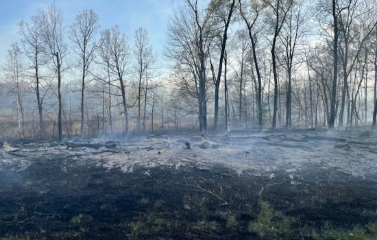 Wisconsin's Warthog Fire Contained as Residents Return and Juneau County Crews Quell 80-Acre Blaze