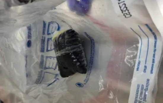Woman Arrested with 113 Grams of Fentanyl Hidden Inside Her Body at Paso Del Norte Border Crossing